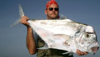 Fishing photos from Senegal