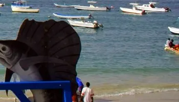 Fishing photos from Senegal