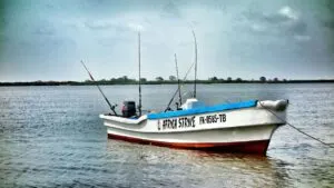 Angelfotos aus dem Senegal - Foto 30