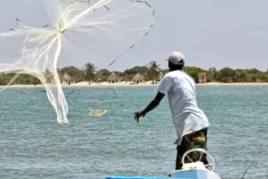 Angelfotos aus dem Senegal - Foto 18