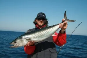 Sea fishing photos from Croatia - photo 1