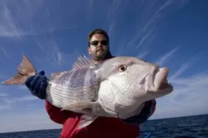 Sea fishing photos from Croatia - photo 8
