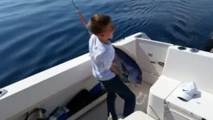 Sea fishing photos from Croatia - photo 9