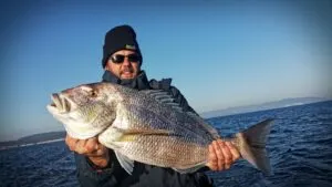 Sea fishing photos from Croatia - photo 12