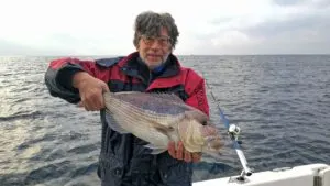 Sea fishing photos from Croatia - photo 13