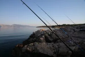 Sea fishing photos from Croatia - photo 14