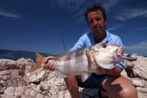 Sea fishing photos from Croatia - photo 15