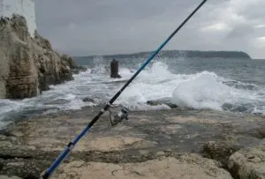 Sea fishing photos from Croatia - photo 17