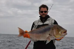 Sea fishing photos from Croatia - photo 20