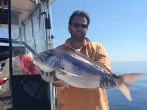 Sea fishing photos from Croatia - photo 22