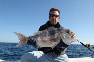 Sea fishing photos from Croatia - photo 25