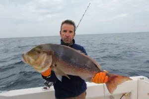 Sea fishing photos from Croatia - photo 26