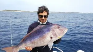 Sea fishing photos from Croatia - photo 27