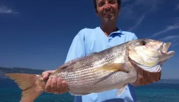 Sea fishing photos from Croatia